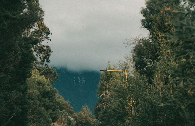 Cabañas Ensenada Bosque Nativo - Foto 53