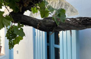 Dream House Little Villa - Amorgos - Photo 22