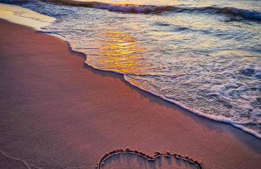 Domki w Naturze - Foto 56