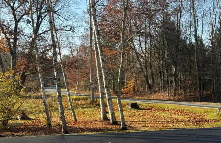 The Tannery House - Foto 17