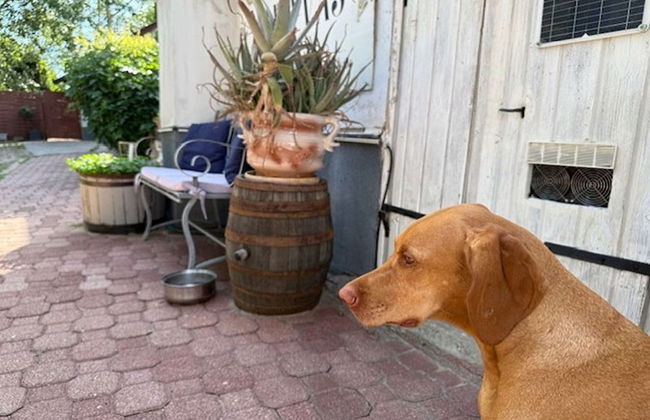 Treasure Of The Past With Whirlpool - Foto 30