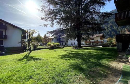 Pinzolo Centro - Baita spaziosa con vista monti - Foto 24