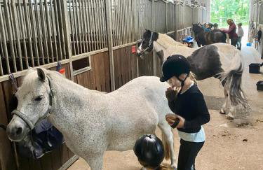 Heidegut Eschede Reitsportanlage und Feriendorf - Foto 47