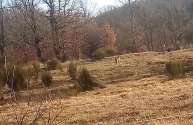 Casas Rurales Trefacio - Foto 19