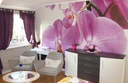 Blumen Apartment - Foto 5