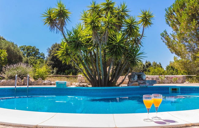 Trullo Palma - Foto 16