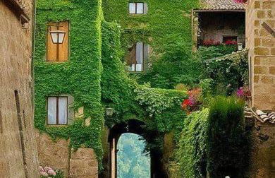 Gerani Rossi - Foto 1