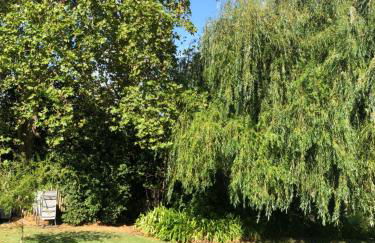 Quinta do Troviscal - Foto 7