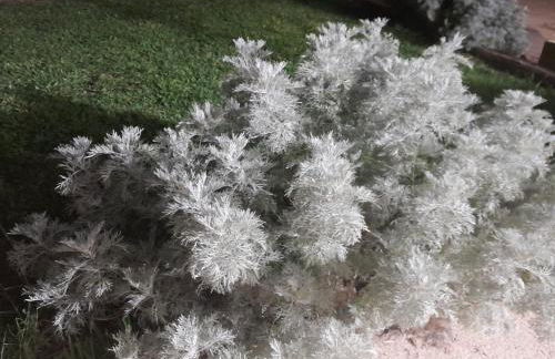 Casa rural Cerro Campón - Foto 65