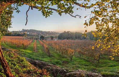 Solar de Serrade - Foto 25