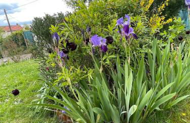 Gîte la Maison de Fram - Foto 35