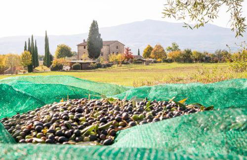 San Carlo a La Molinella - Photo 45