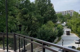 Buckhead Atlanta Luxury Suite - Foto 33