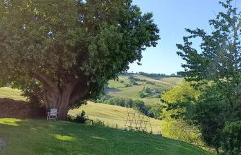 Casa dei Sogni d'Oro - Foto 35