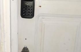 Estúdio Charmoso no Vieiralves - Foto 8