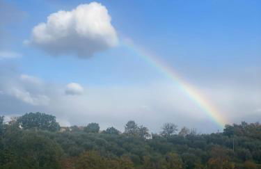 Casa vacanze fra gli ulivi - Foto 55