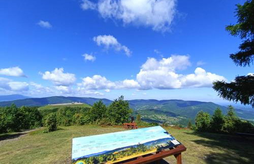 Apartament EWCIA - Foto 28