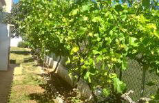 Casa SP- Villa with heated pool near Vilamoura, Vale do Lobo - Photo 22