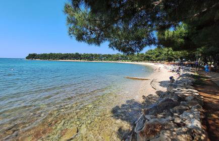 Studio apartman Sandra - Photo 10