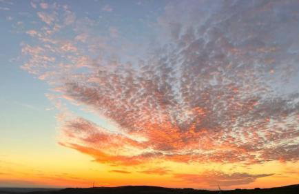 The Shearer's Hut in the Peak Park - Photo 24