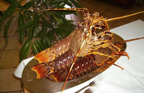 Hotel Perda Rubia - Foto 32