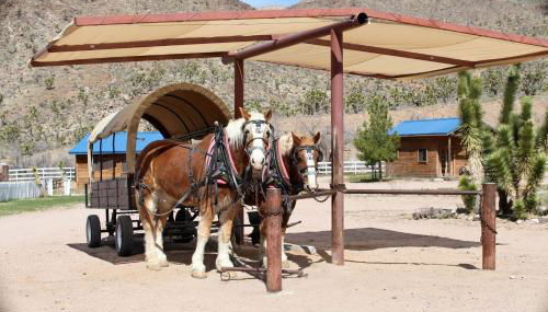 Grand Canyon Western Ranch - Foto 2