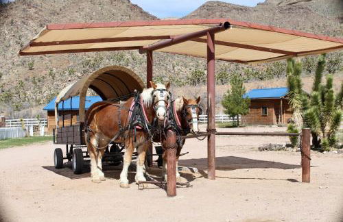 Grand Canyon Western Ranch - Foto 2