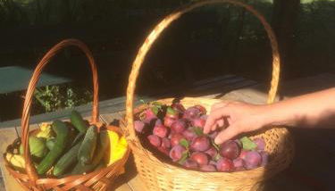 Agriturismo Il Giardino - Photo 2, Garden