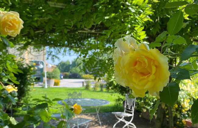 Agriturismo Millefiori Corte delle Rose - Foto 2