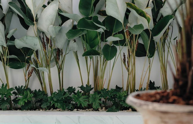 Terra da Luz Villa Hotel - Foto 71