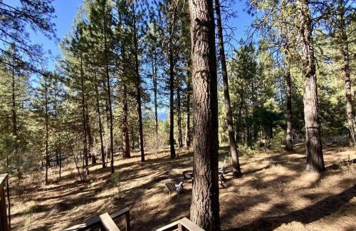 Mint Chip Cabin by Casago McCall - Donerightmanagement - Photo 16