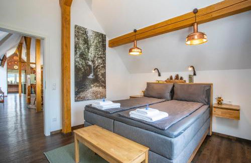 Pine Cone Loft on Baden-Baden's Panorama Trail - Foto 29