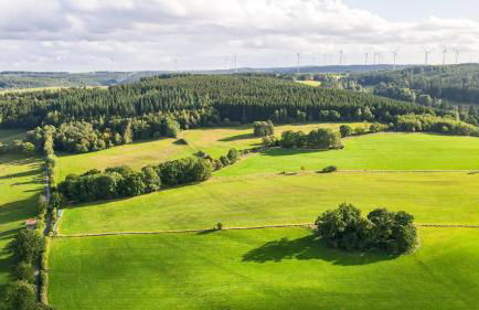 Ferienhaus Kronenburg - Foto 62