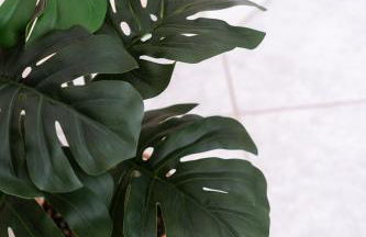 Elaia Retreat by Greece Apartments - Photo 33