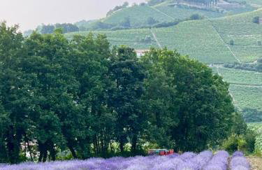 Vigne di Fagnano 1709 Eco Relais - Photo 64