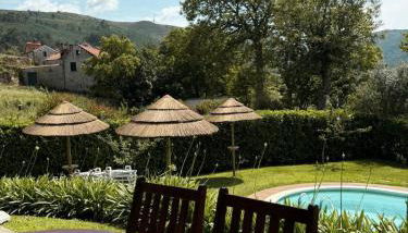 Casa das Castanhas - Cinfães, Viseu - Foto 5