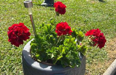 Kuća za odmor Family Fužine - Foto 38