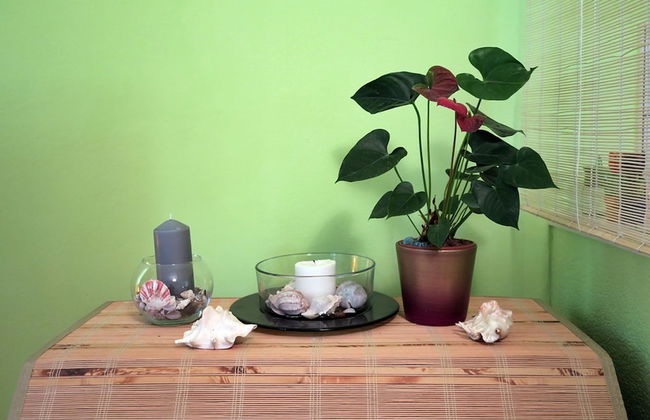 Apartments Vera - Foto 31