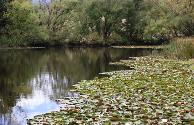 StayAU 1BR Rustic Picturesque Cottage - Foto 34