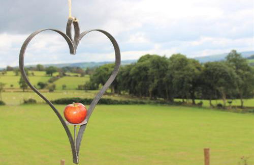 Blaenplwyf Shire Pods - Foto 17