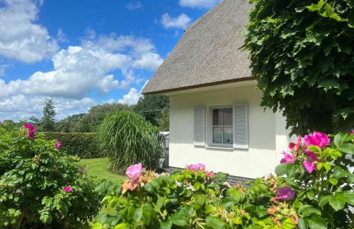 FH Strandmuschel - Foto 6