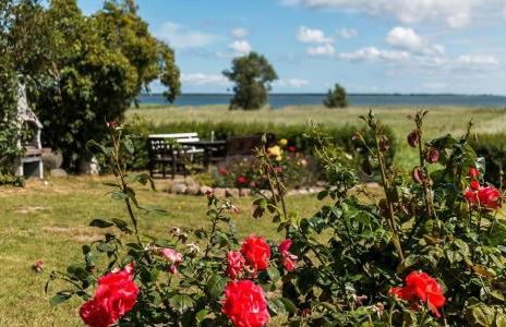 Haus am Bodden 02 - Foto 16