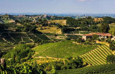 Casa Musotta - Dimora nelle Langhe - Foto 30