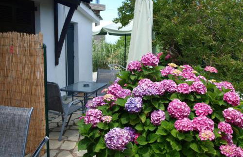 Villa Zina in Pelion - Foto 47