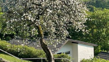 Landhaus am See 934 - Foto 4