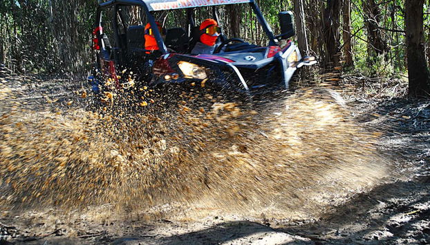 Tour en buggy por Arouca - Foto 4