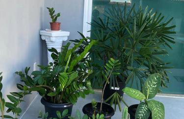 Casa de praia em Barra do Gil - Foto 15