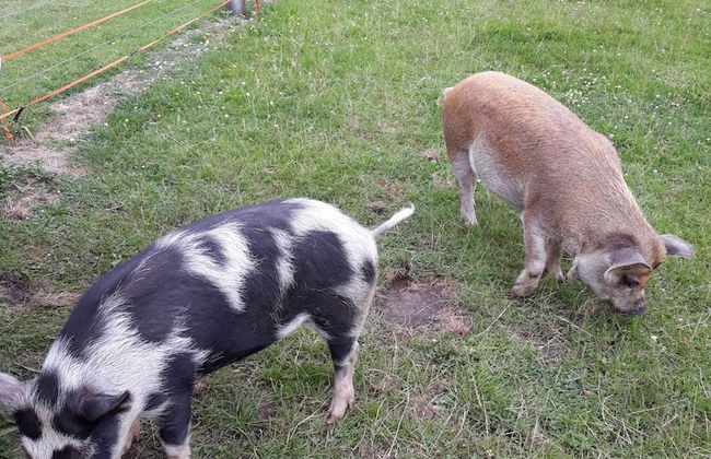Cubby House Stay - Kaikoura - Foto 50