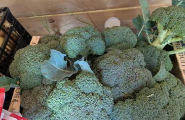 Ferme Pédagogique Bordeneuve - Foto 28