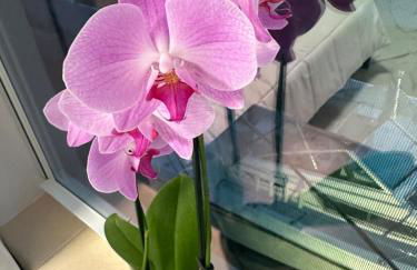 Coconut Trail Resort Unit - Foto 47